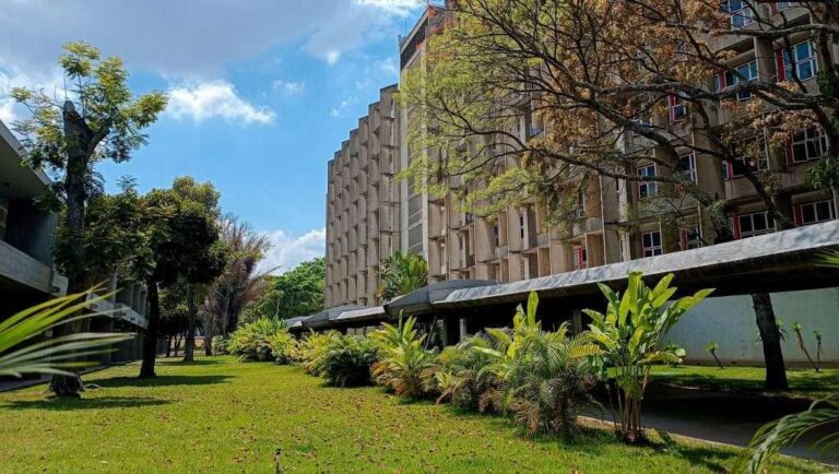 ciudad universitaria de caracas ucv arquitectura arte campus