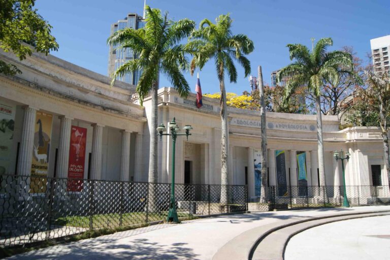 museo de bellas artes caracas exposiciones arte plaza de los museos
